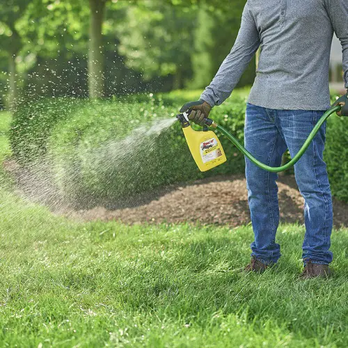 How to Get Rid Of Ground Moles with Vinegar