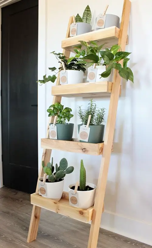 Ladder Herb Garden on wall ideas