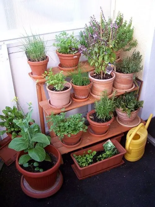 Ladder Herb Garden Ideas