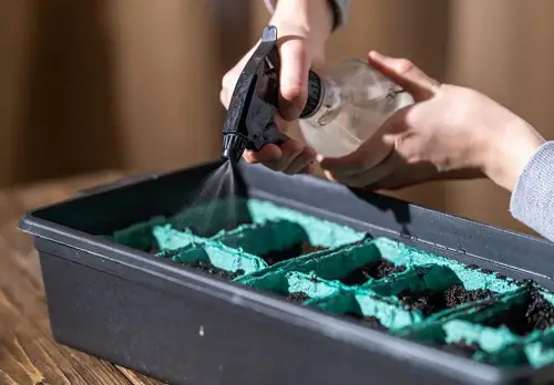 Make Your First Watering a Soapy One
