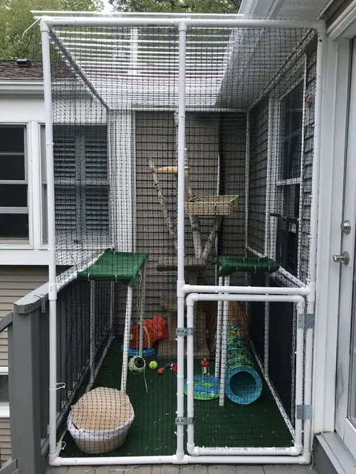 DIY Cat Room Ideas You Must Try