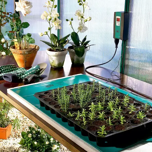 Place Seed Tray on a Heat Mat