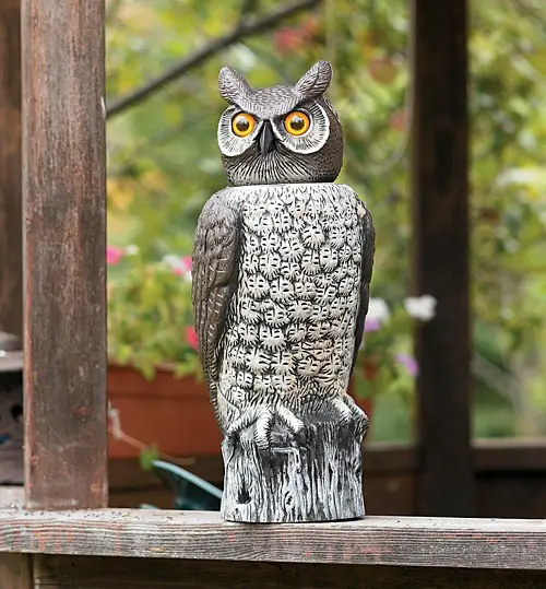 Effective Ways on How to Keep Pigeons off Balcony Plastic Owl Decoy or Rubber Snake