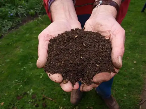 They are Fantastic Soil Amendment