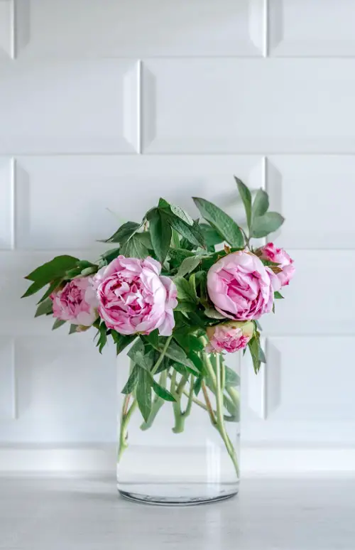 use Johnson Baby Oil for cut flowers