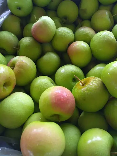 beautiful Types of Green Apple Varieties