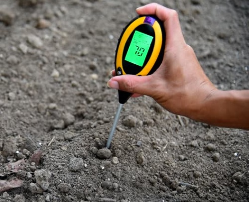 soil ph check