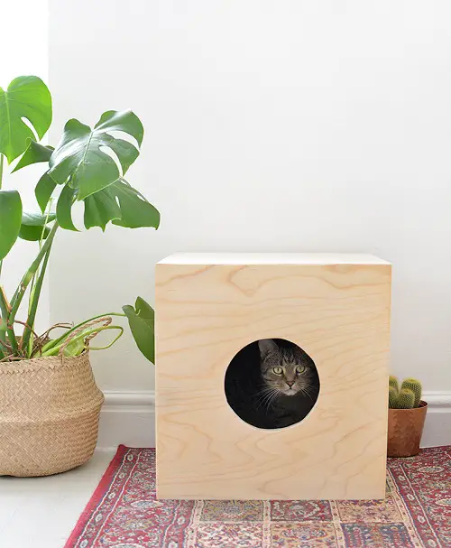 Fantastic DIY Cat Room Ideas Wooden Cat Bed