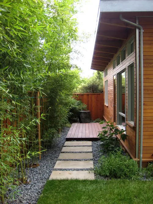 The Best Plants to Have on Your Front Step 