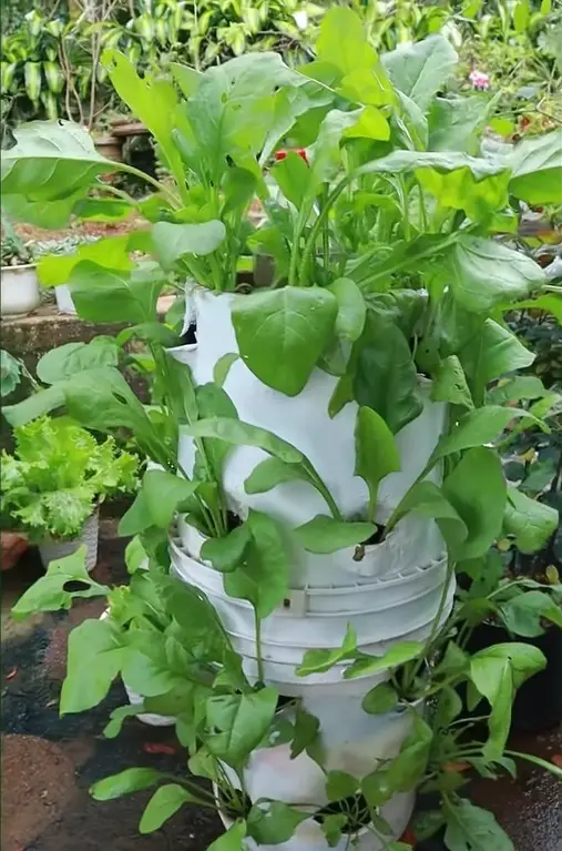 Projects for Building a Diy Vertical Plant Tower2