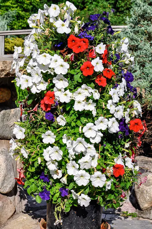 Projects for Building a Diy Vertical Plant Tower1