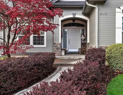 The Best Plants to Have on Your Curb 