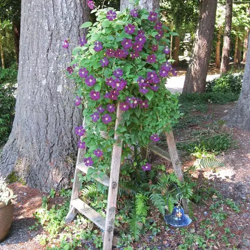 DIY Vertical Plant Tower Ideas4