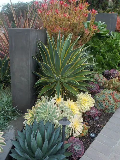 The Best Plants to Have on Your Front Step