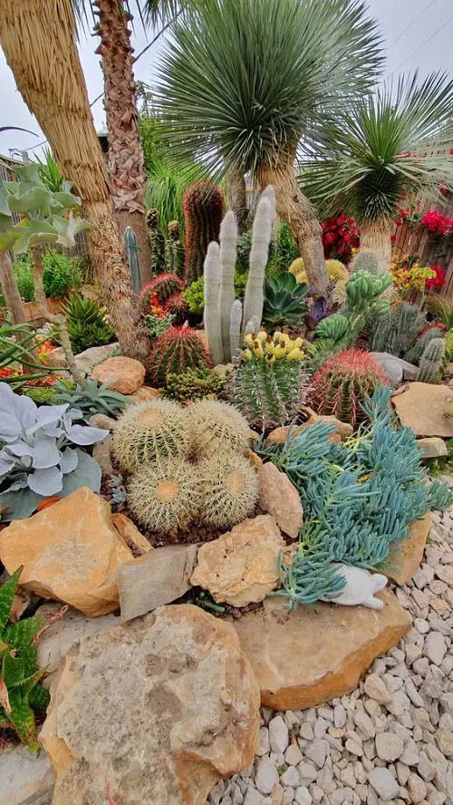 Spiky Foliage in the Garden
