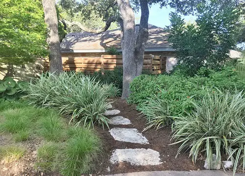Luscious Garden with Stone Path