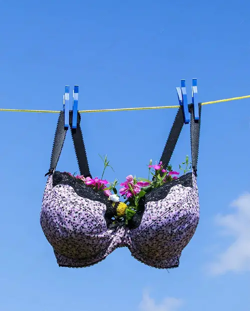 Fun with Black and White Bra Garden Ideas 