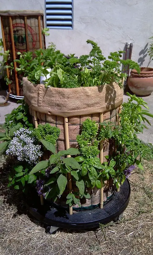 Massive Burlap Container Garden