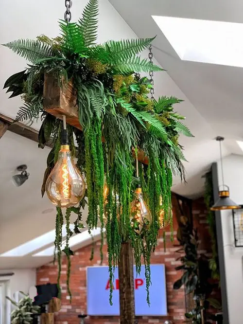 Succulent Vines with Ferns in a Hanging Planter