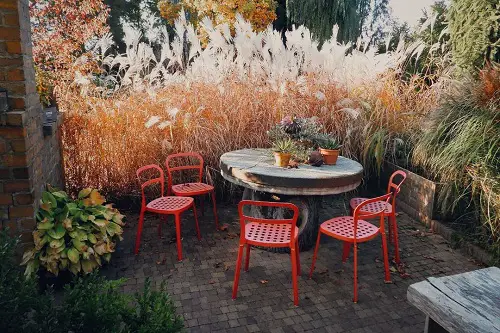 Tall Grasses for Privacy near tea garden
