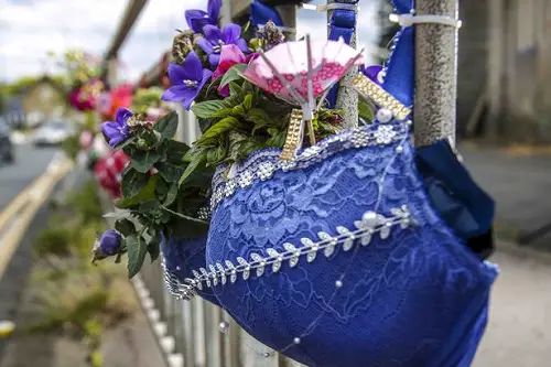A Power of Blue Bra Garden Ideas