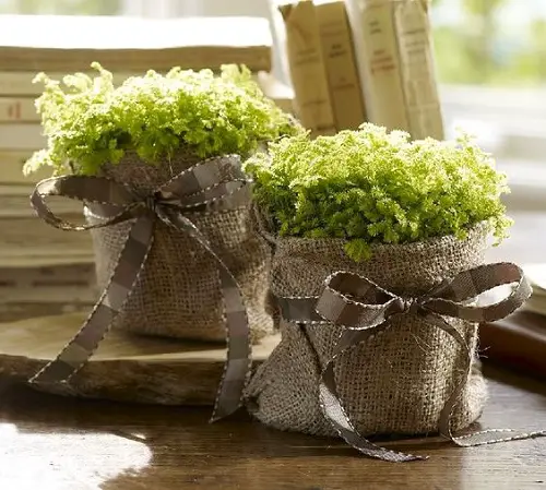 Burlap Gifts for Family and Friends