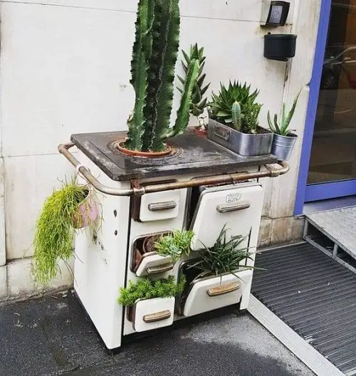 Succulents Planted in Old Stove Succulent Garden