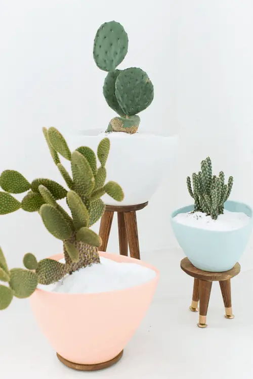 Cool DIY Gold-legged Plant Stand