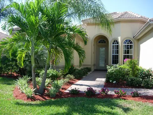 Palm Trees with Flax Lilies