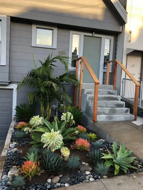 Thick-leafed Succulents near the Staircase