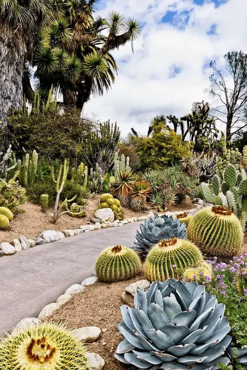 Succulent Studded Pathway enterance
