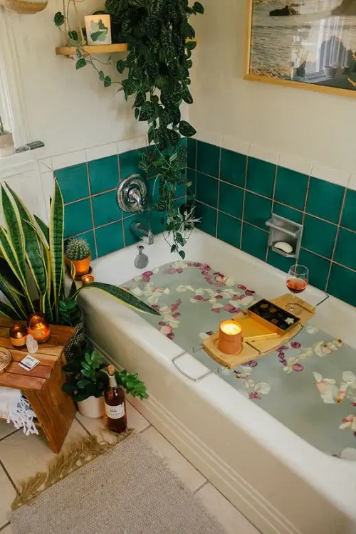 Devil's Ivy in the Bathroom