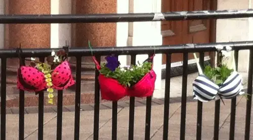 Bra Fence Planter Gardens