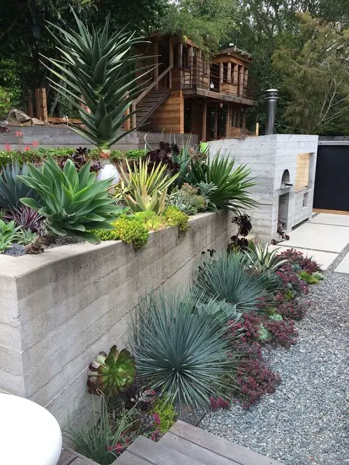 Needle-like Leaves in Gravel Beds