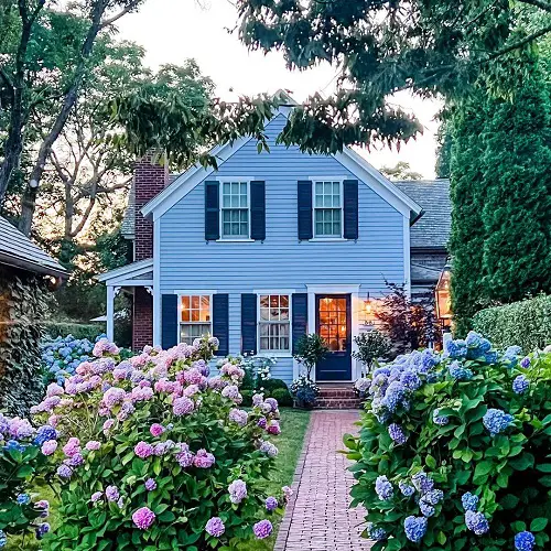 different Ways to Grow Hydrangeas in garden 6