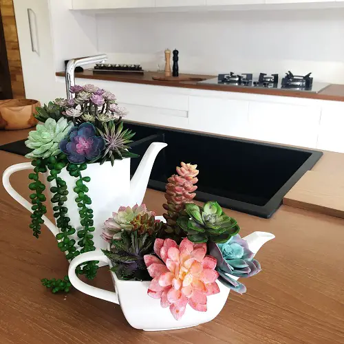 A Pair of Unique Succulent Teapot Gardens