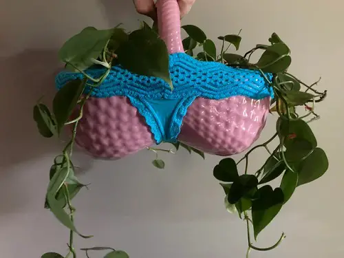 Bra-Shaped Planter Garden