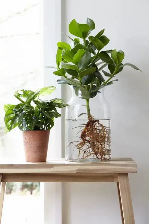 pot and glass jar combo on table