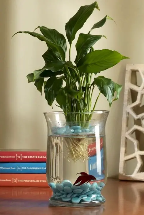 beautiful Houseplants in Water Centerpiece 13