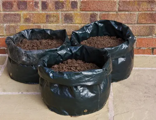 Use Plastic Bags