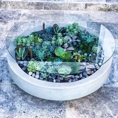 Fantastic Garden in the Table
