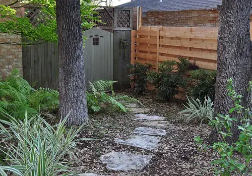 Flax Lily Backyard Entrance