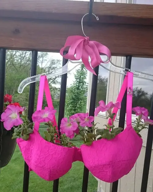 Bra Planter on a Balcony