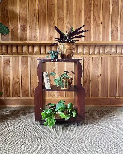 Wooden Plant Stand Shelf