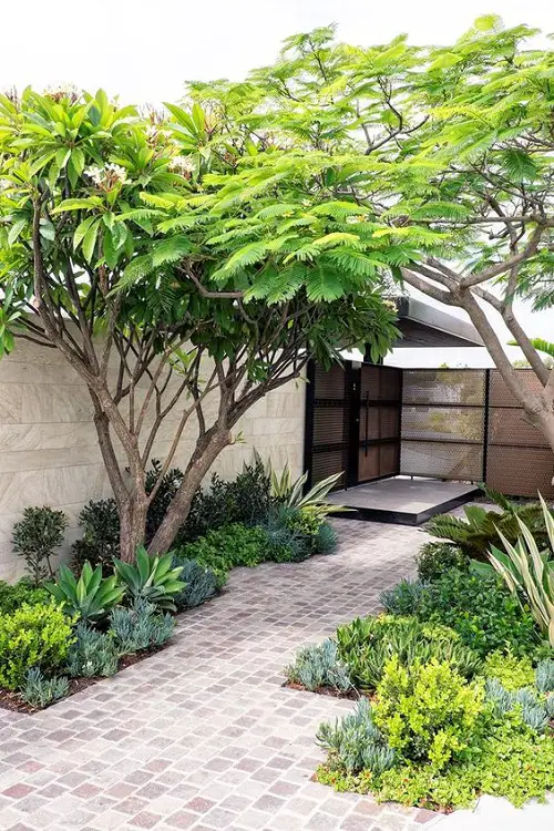 Small Succulent Garden Beds with Stone Tile Pathway