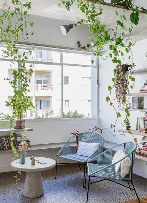 Minimal Vines to Spruce Up the Reading Room