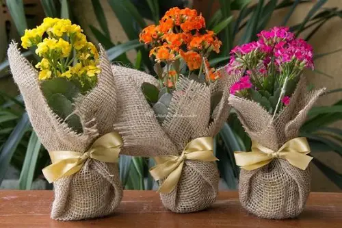 Burlaps with Vibrant Blooms