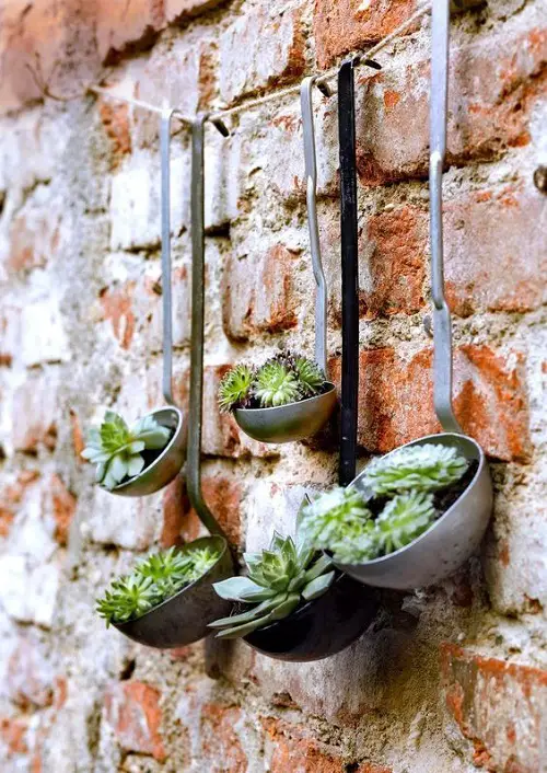 easy Succulents Planted in Hanging Ladles