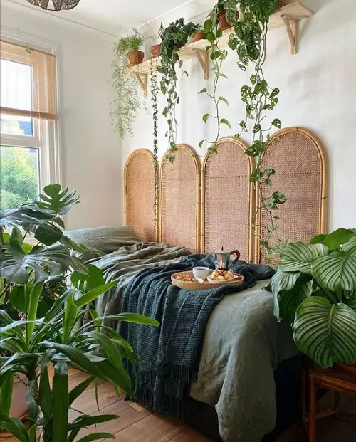 Big-Leafed Foliage and Clay Pots with Vines