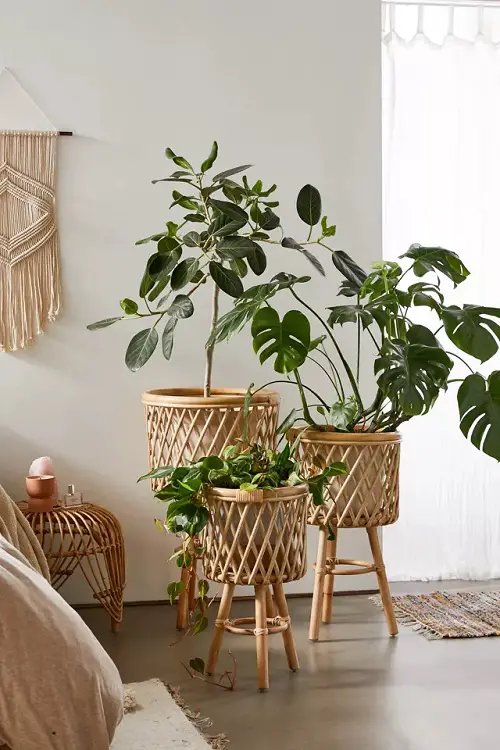 . Rustic Rattan Plant Stand